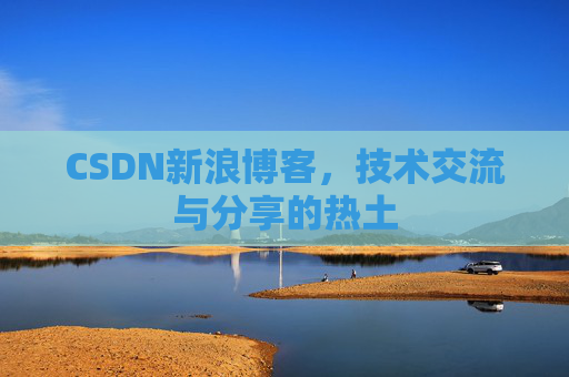 CSDN新浪博客，技术交流与分享的热土